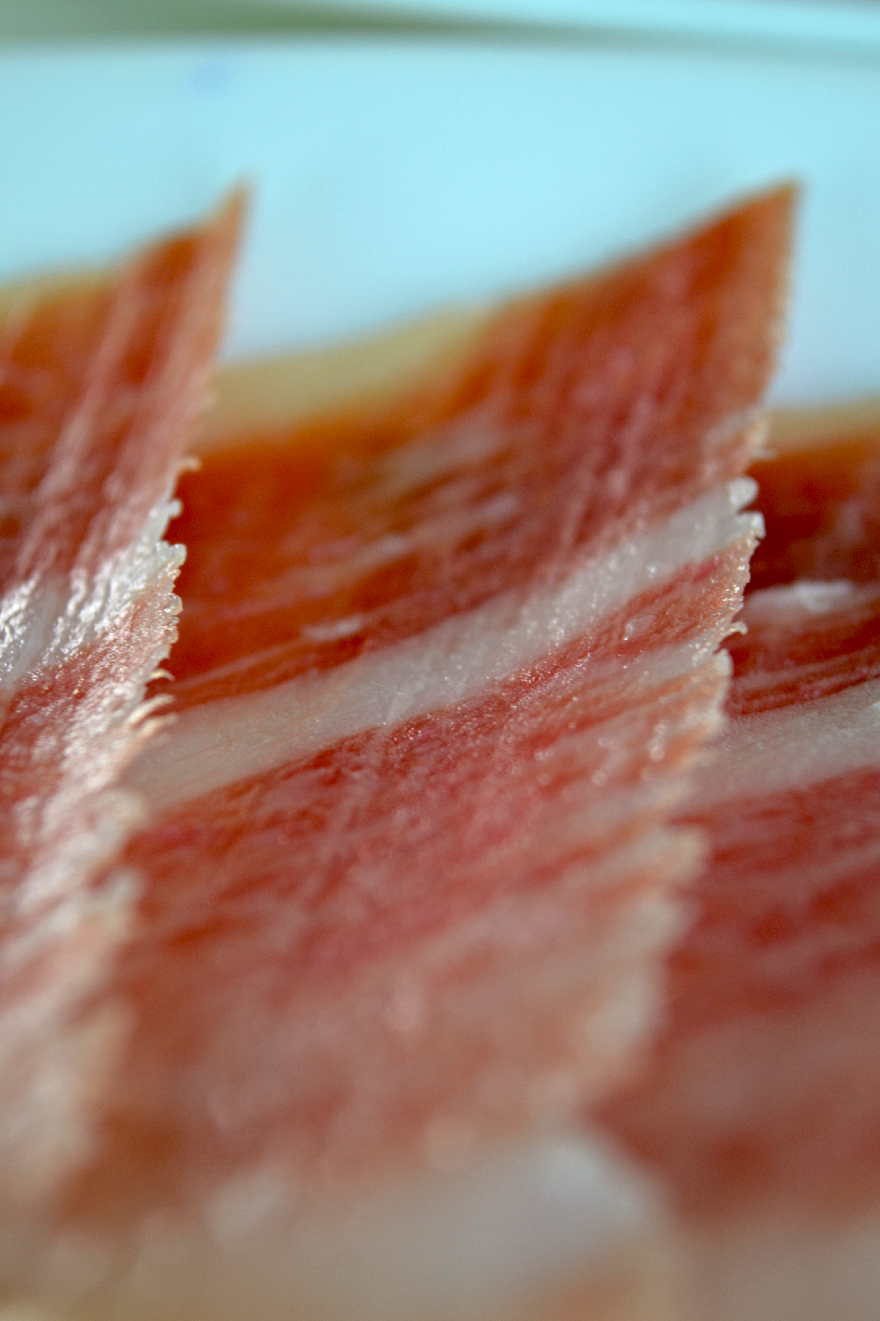 Jamón de Bellota Ibérico 50% con hueso